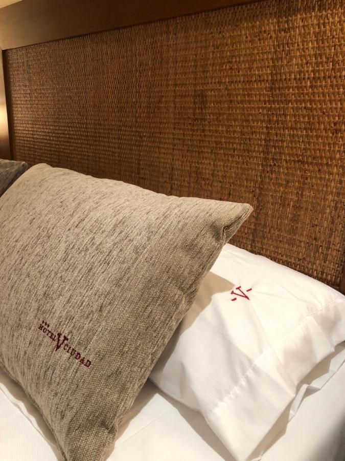 Hotel V.Ciudad 阿兰达德杜洛 外观 照片
